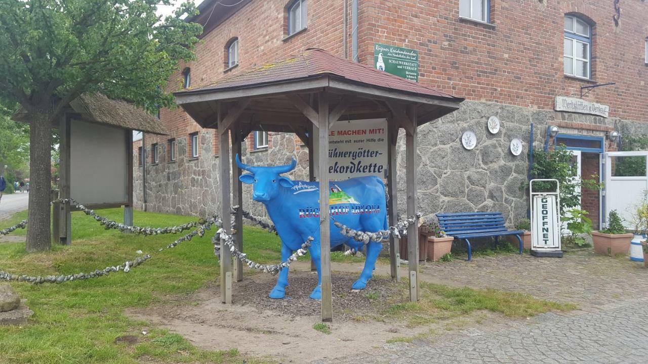 Finja In Putgarten, Kap Arkona Ruegen *