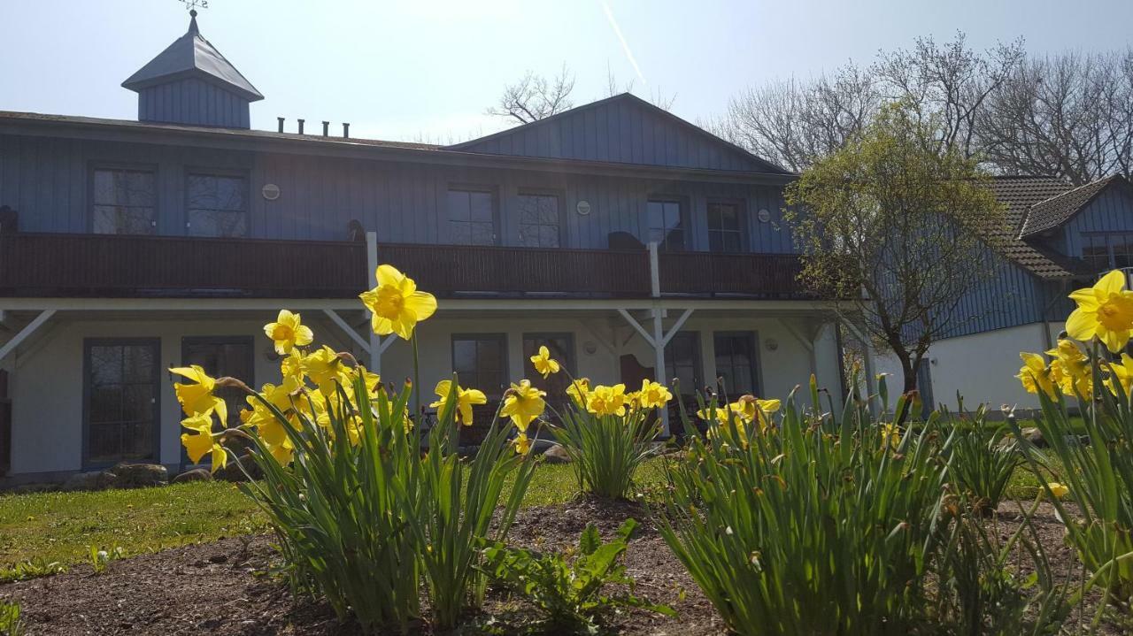 Finja In Putgarten, Kap Arkona Ruegen Apartment Putgarten